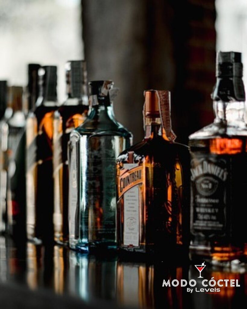 Bartender a Domicilio